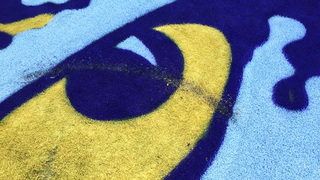 Alabama Students Charged With Breaking Into LSU's Stadium, Trying To Deface Midfield Logo, Failing